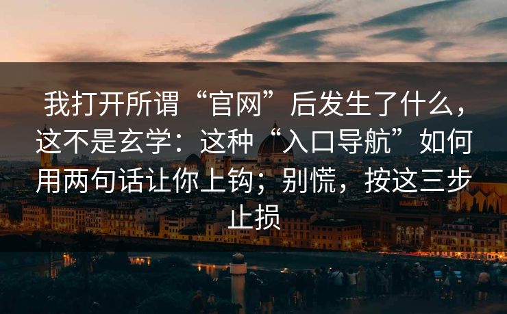 我打开所谓“官网”后发生了什么,这不是玄学:这种“入口导航”如何用两句话让你上钩;别慌,按这三步止损