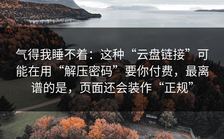 气得我睡不着：这种“云盘链接”可能在用“解压密码”要你付费，最离谱的是，页面还会装作“正规”