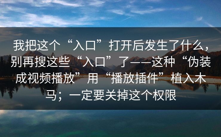 我把这个“入口”打开后发生了什么，别再搜这些“入口”了——这种“伪装成视频播放”用“播放插件”植入木马；一定要关掉这个权限