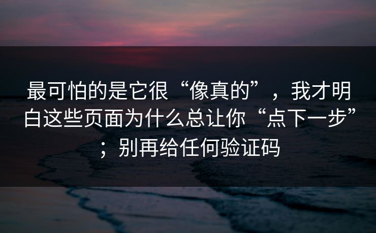 最可怕的是它很“像真的”,我才明白这些页面为什么总让你“点下一步”;别再给任何验证码