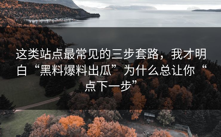 这类站点最常见的三步套路,我才明白“黑料爆料出瓜”为什么总让你“点下一步”