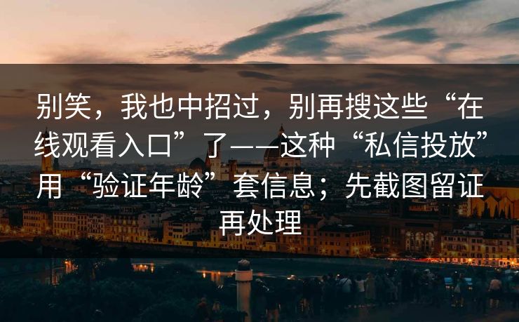 别笑,我也中招过,别再搜这些“在线观看入口”了——这种“私信投放”用“验证年龄”套信息;先截图留证再处理