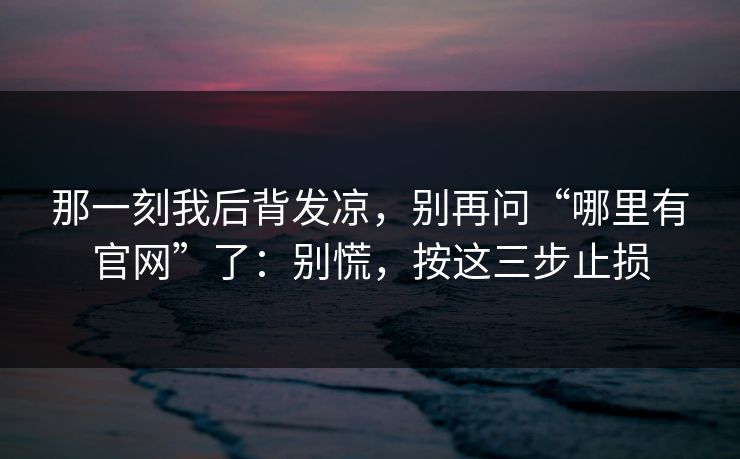 那一刻我后背发凉,别再问“哪里有官网”了:别慌,按这三步止损