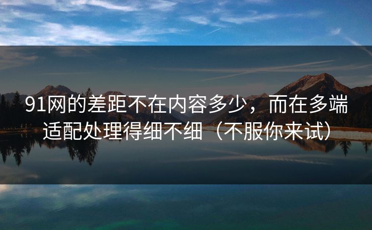 91网的差距不在内容多少,而在多端适配处理得细不细(不服你来试)
